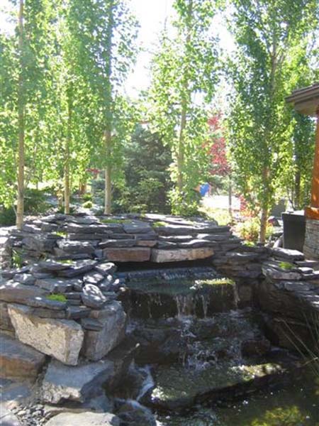 59dae1_1d94fc89468a46388795530967e01456~mv2 residential landscaping