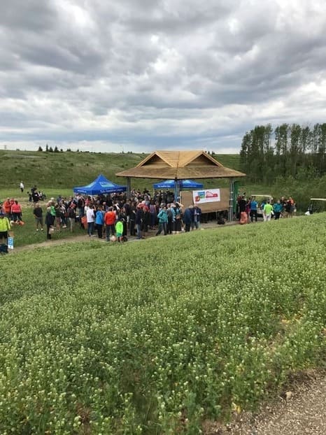 people gathering