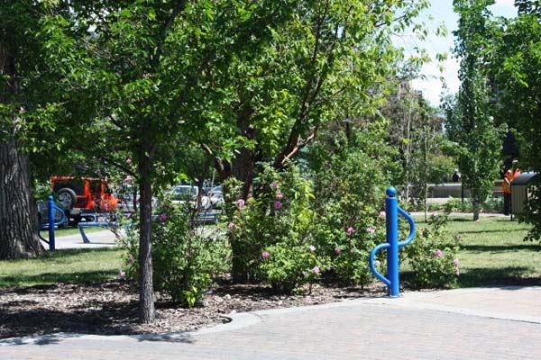59dae1_4965233112774909a83a667eeb2fb978~mv2 commercial landscaping and concrete work