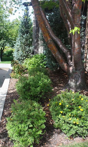 59dae1_54fd1d21e1944bc99f5919c584244d79~mv2_d_2370_3949_s_2 residential landscaping