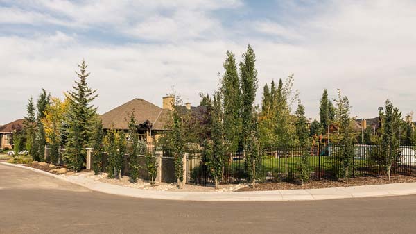59dae1_5613e4e4236b4a9cb1ebd9817520a283~mv2 residential landscaping