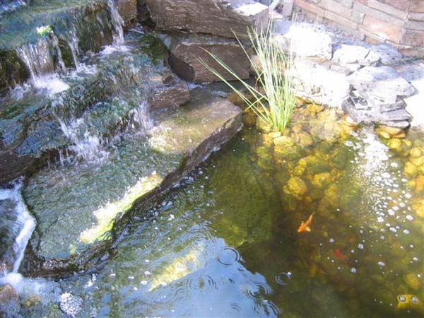 59dae1_634216ca72144772a9584abac0bd8782~mv2 residential landscaping