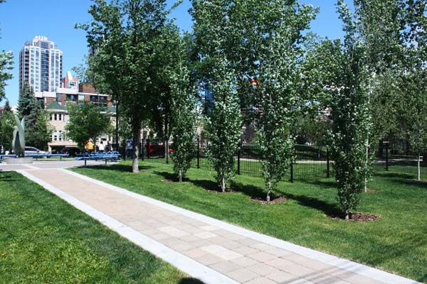 59dae1_6c2f0026ab324c33abc324468da711e9~mv2 commercial landscaping and concrete work