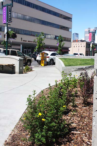 59dae1_b62ee98894d0448b898078c976c69efa~mv2_d_2848_4272_s_4_2 commercial landscaping and concrete work