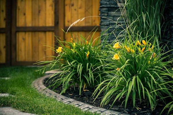 59dae1_c2bdfd099736487eb02957315dc159ef~mv2 residential landscaping