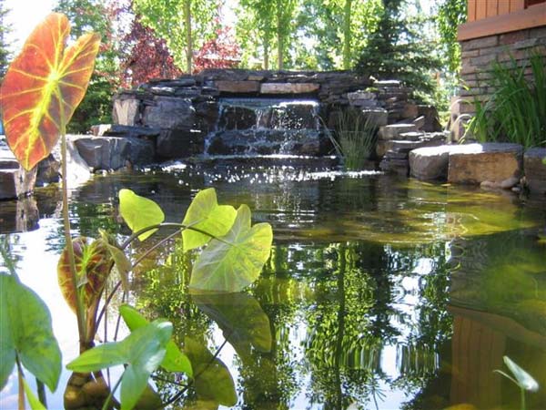 59dae1_fedd1c00ee244fdca63a02aed080b2ef~mv2 residential landscaping