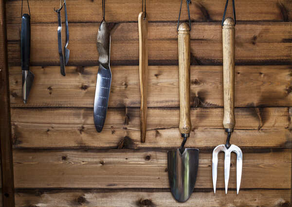 Gardening Tools on Wooden Wall