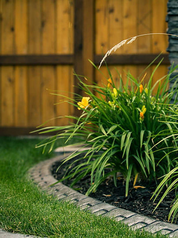 nice landscaping